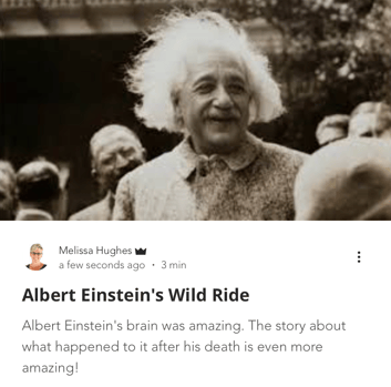 Albert Einstein's Wild Ride