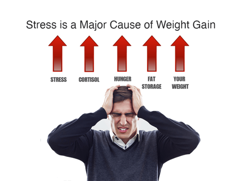 Stress causes weight gain