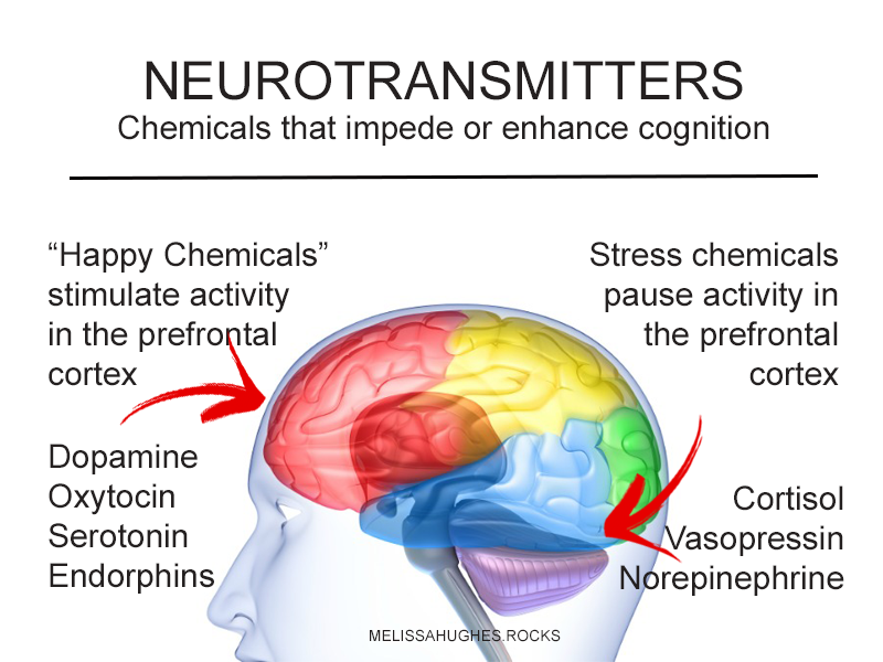 neurotransmitters2