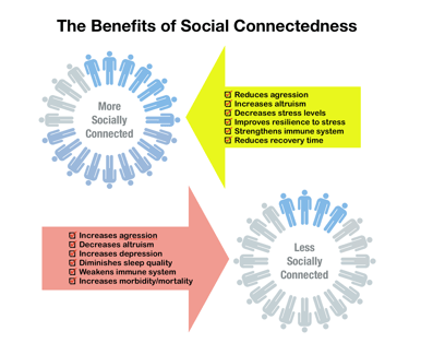 social connectedness
